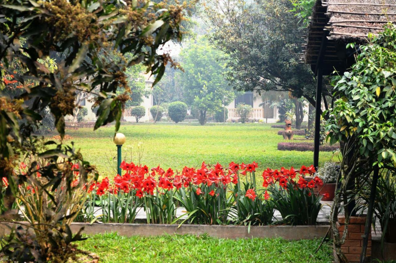 Chitwan Paradise Hotel Sauraha Esterno foto