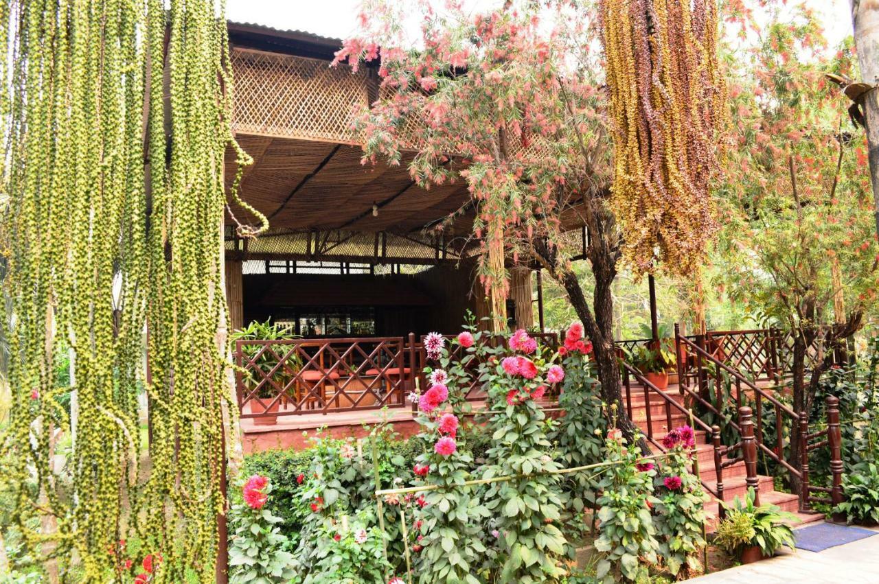 Chitwan Paradise Hotel Sauraha Esterno foto