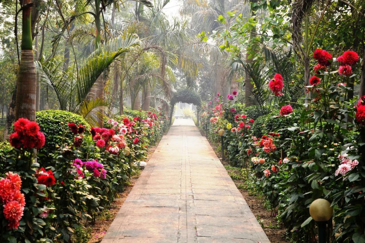 Chitwan Paradise Hotel Sauraha Esterno foto