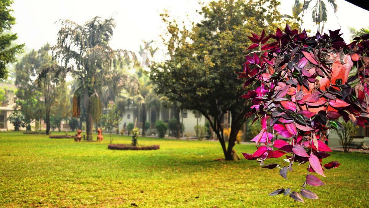 Chitwan Paradise Hotel Sauraha Esterno foto