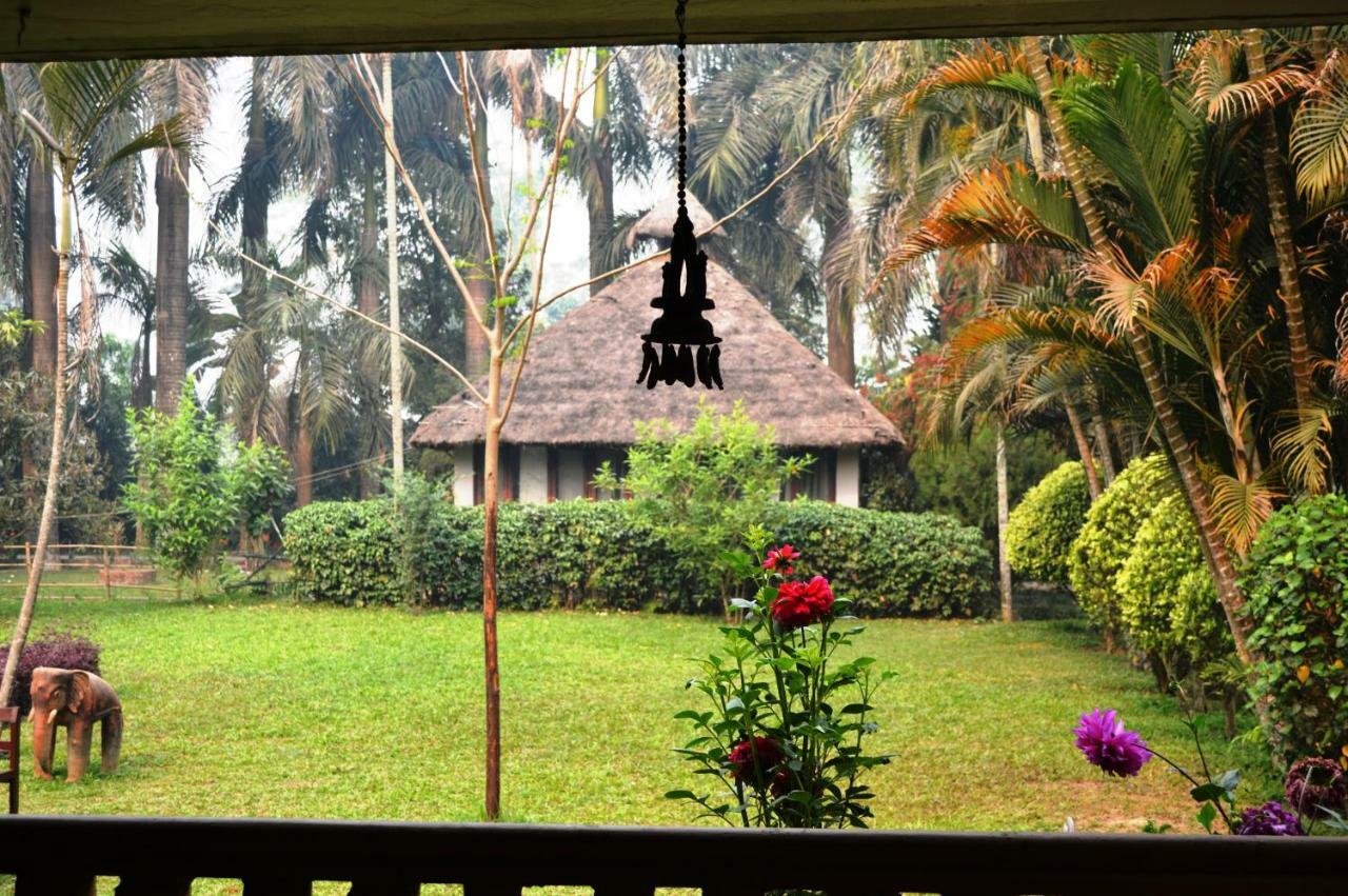 Chitwan Paradise Hotel Sauraha Esterno foto