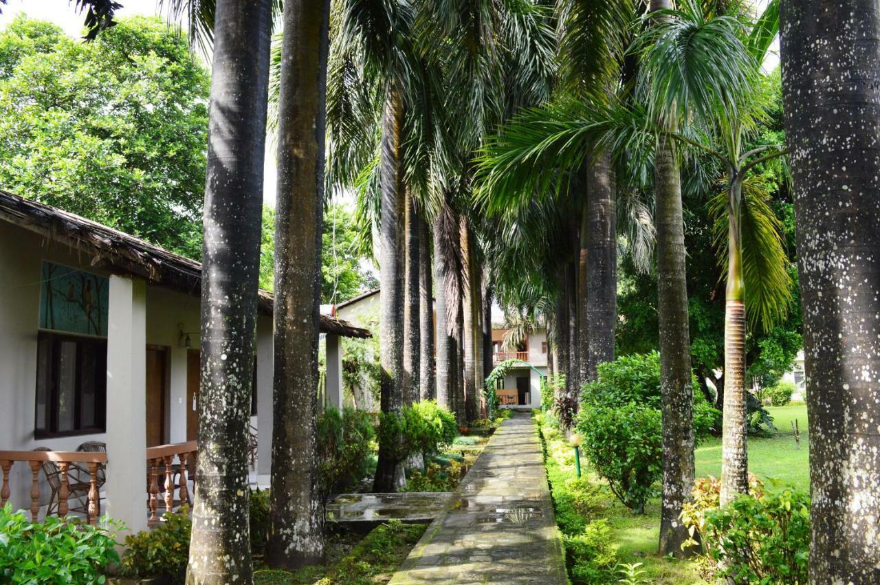 Chitwan Paradise Hotel Sauraha Esterno foto